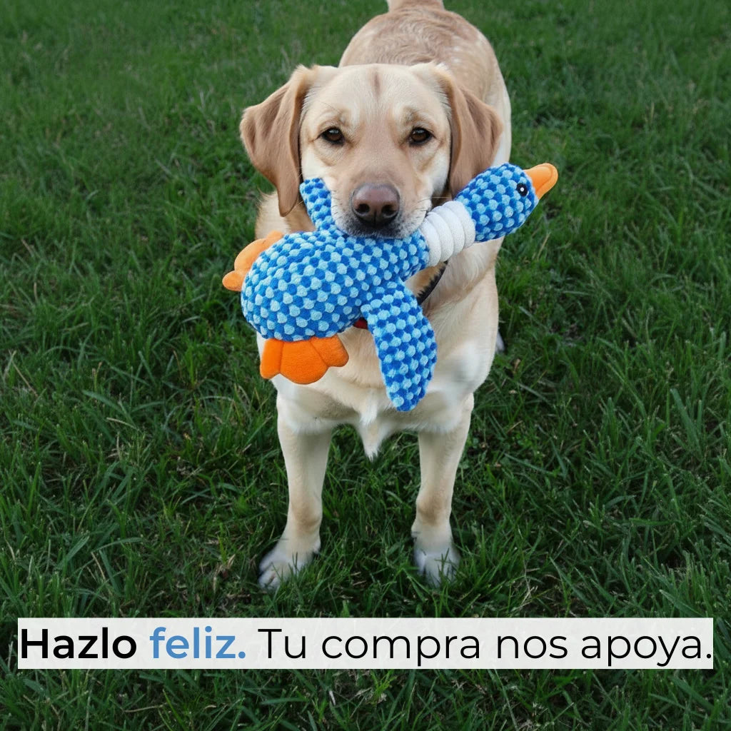 Pato de Peluche