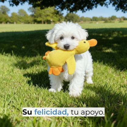 Pato de Peluche
