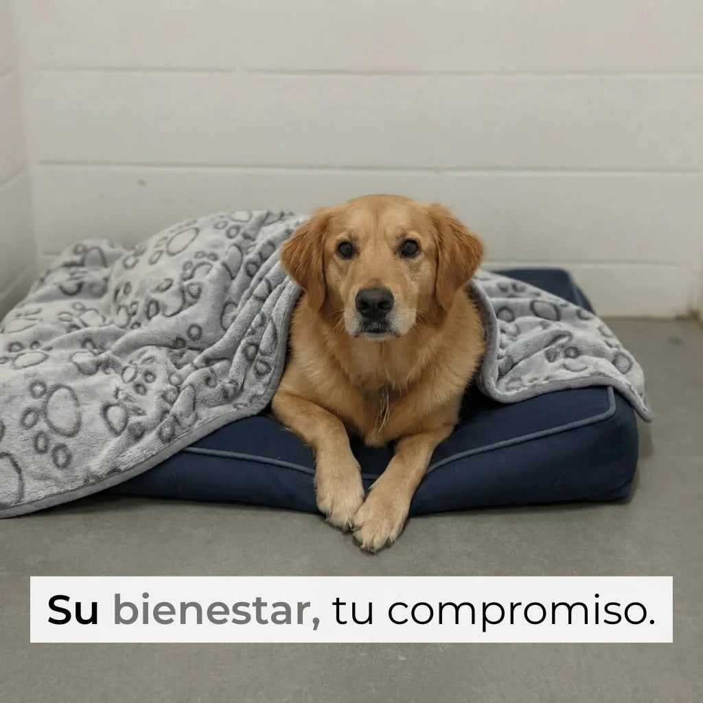 Manta para Perros