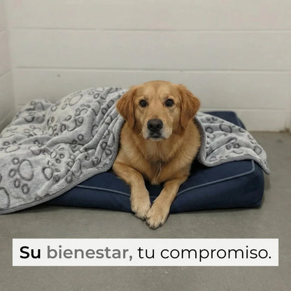 Manta para Perros