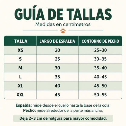 Traje de Navidad